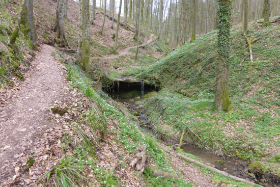 Hexenklamm Gersbach